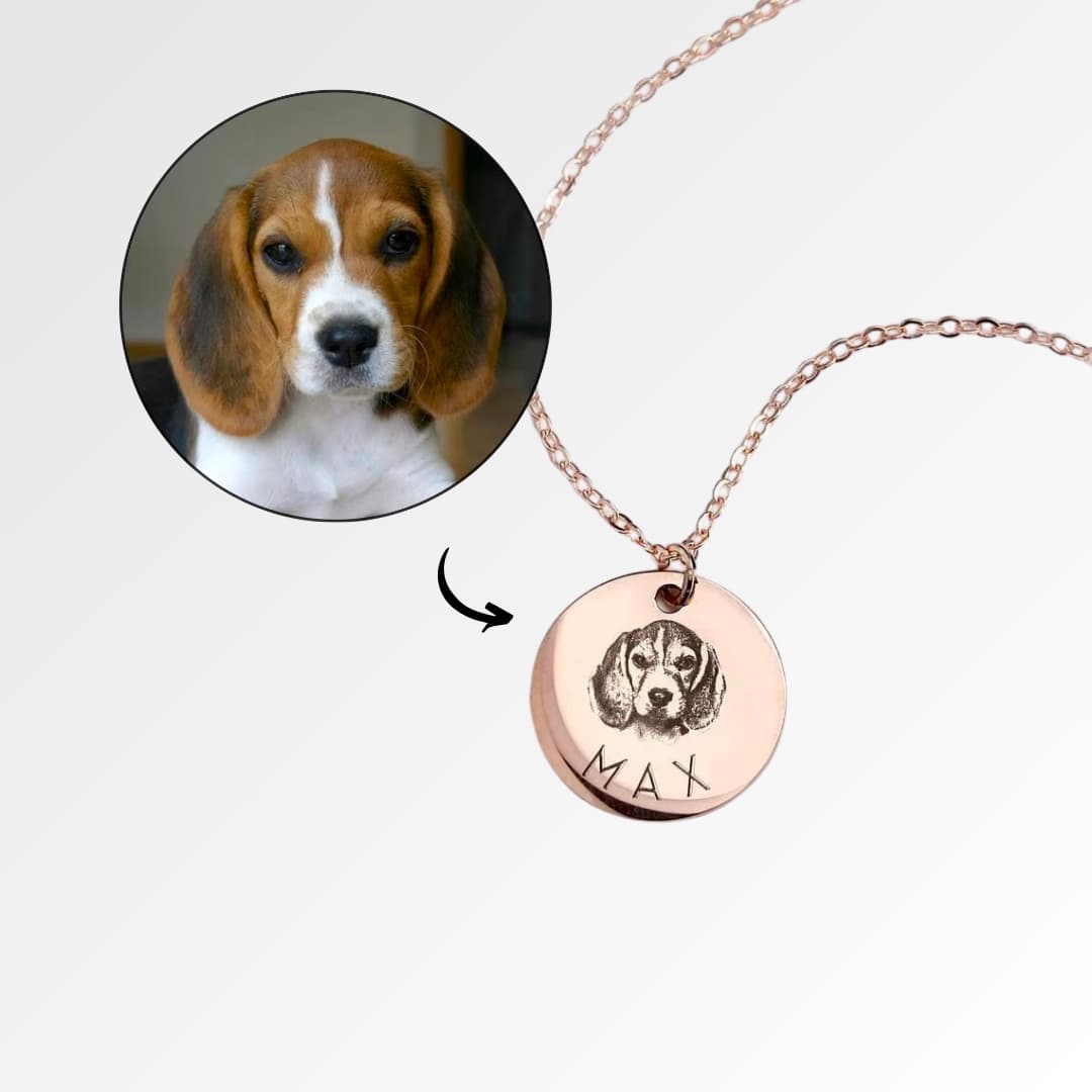 Individuelle Haustierkette Hund before and after