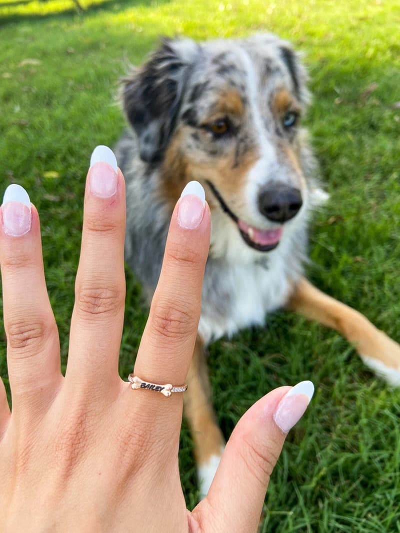 INDIVIDUELLER HUNDE-RING