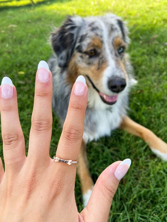 INDIVIDUELLER HUNDE-RING